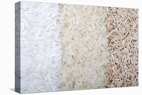 Three Rows of Rice Varieties-felker-Premier Image Canvas