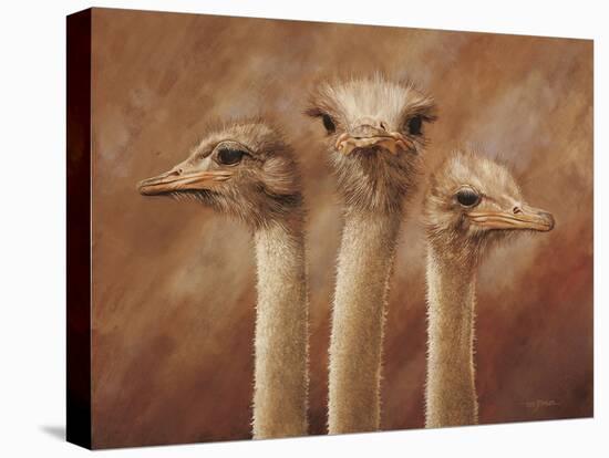 Three's a Crowd-Henk van Zanten-Stretched Canvas