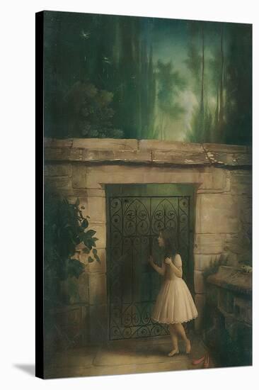 Three Secret Words-Stephen Mackey-Stretched Canvas