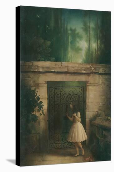 Three Secret Words-Stephen Mackey-Stretched Canvas