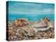 Three Shells-Cristiana Angelini-Premier Image Canvas