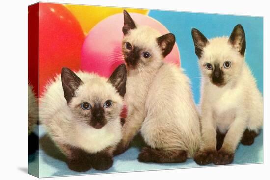 Three Siamese Kittens-null-Stretched Canvas
