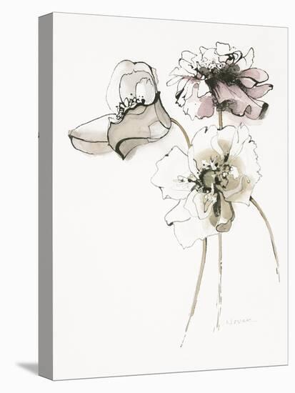 Three Somniferums Poppies Neutral-Shirley Novak-Stretched Canvas