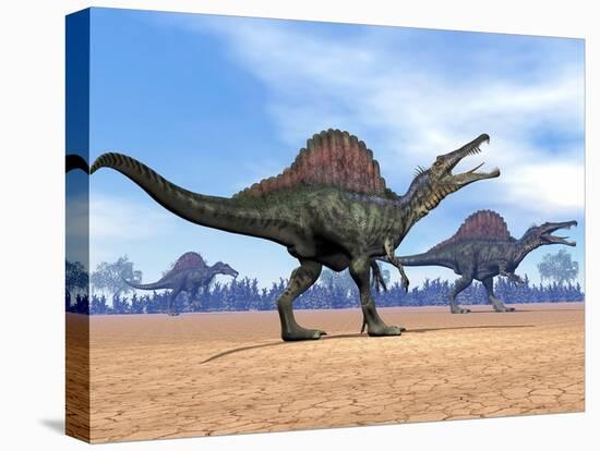 Three Spinosaurus Dinosaurs Walking in the Desert-null-Stretched Canvas