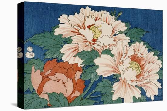 Three Stems of Peonies on a Blue Background, 1857-Ando Hiroshige-Premier Image Canvas