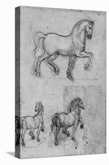 'Three Studies of Horses', c1480 (1945)-Leonardo Da Vinci-Premier Image Canvas