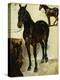 Three Studies of Horses-Eugene Delacroix-Premier Image Canvas