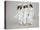 Three Vietnamese Young Women in White Fashion Walking Down the Street-Co Rentmeester-Premier Image Canvas