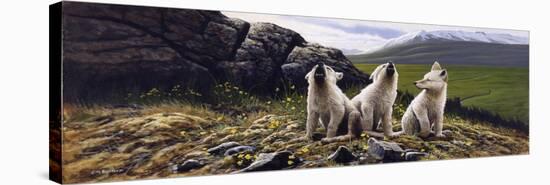 Three Wolves-Michael Budden-Premier Image Canvas