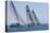 Three Yachts Compete in Team Sailing Event, California-null-Stretched Canvas