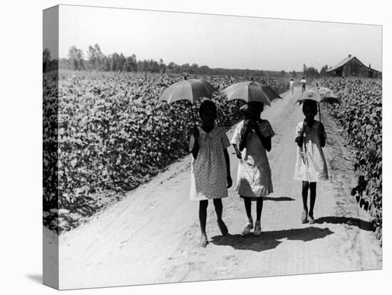 Three Young Barefoot African American Sharecroppers' Daughters on their Way to Sunday School-Alfred Eisenstaedt-Premier Image Canvas