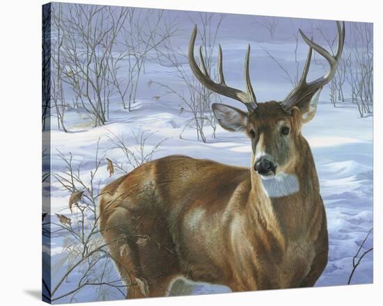 Through My Window: Whitetail Deer-Joni Johnson-godsy-Stretched Canvas