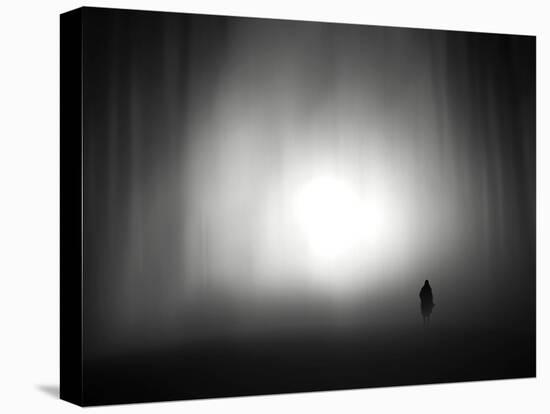 Through the Fog-Josh Adamski-Premier Image Canvas