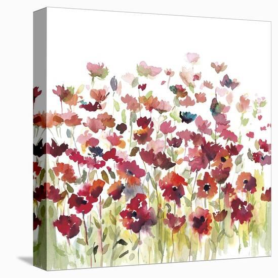 Through the Garden-Rebecca Meyers-Stretched Canvas