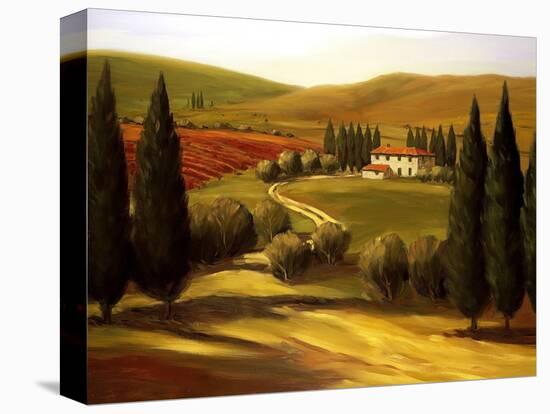 Through the Hills of Tuscany-Tim Howe-Premier Image Canvas