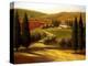 Through the Hills of Tuscany-Tim Howe-Premier Image Canvas