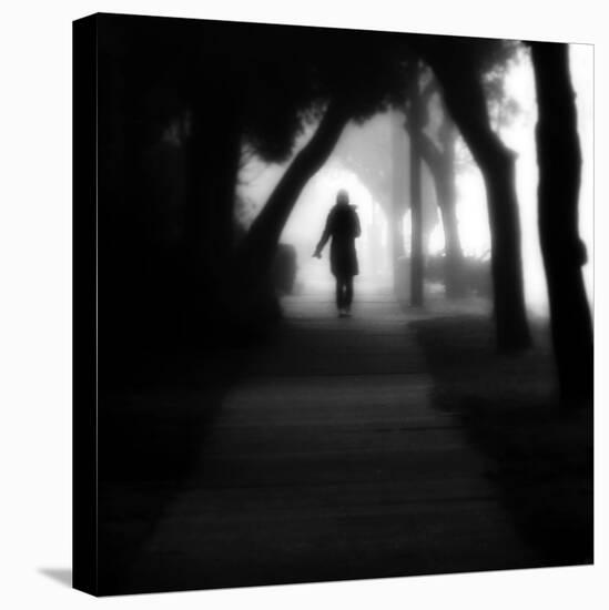 Through the Mist-Sharon Wish-Premier Image Canvas