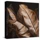 Through the Sepia Leaves II-Patricia Pinto-Stretched Canvas