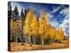 Through the Yellow Trees II-David Drost-Premier Image Canvas