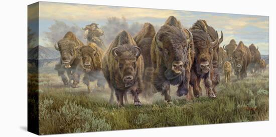 Thunder on the Prairie (Bison)-Kalon Baughan-Stretched Canvas