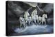 Thundering Horses-Sue Clyne-Premier Image Canvas