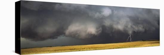 Thunderstorm Advancing over a Field-null-Premier Image Canvas