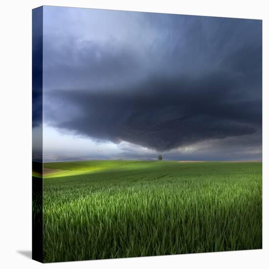 Thunderstorm Cell Over the Alb Plateau-Franz Schumacher-Premier Image Canvas