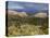 Thunderstorm Near Los Alamos, New Mexico, United States of America, North America-Richard Cummins-Premier Image Canvas