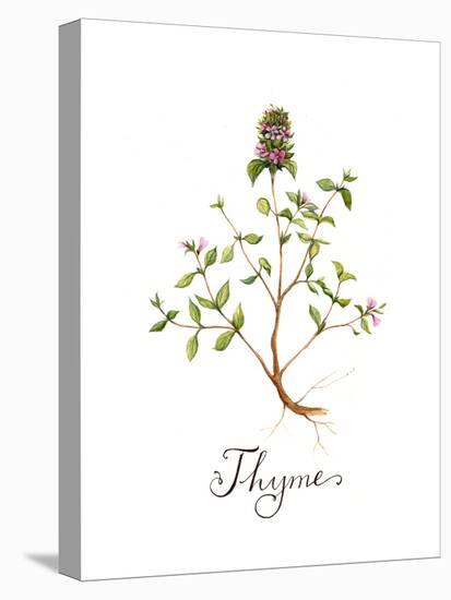 Thyme-Irina Trzaskos Studio-Premier Image Canvas