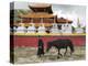 Tibetan Man with Horse in Tagong Monastery, Sichuan, China-Keren Su-Premier Image Canvas