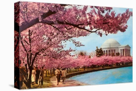 Tidal Basin, Jefferson Memorial, Cherry Blossoms, Washington, D.C.-null-Stretched Canvas