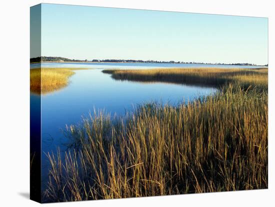 Tidal Creek Empties into Biddeford Pool, Anuszewski Property, Maine, USA-Jerry & Marcy Monkman-Premier Image Canvas