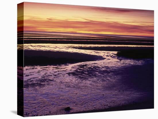 Tidal Flat at Sunset, Cape Cod, MA-Gary D^ Ercole-Premier Image Canvas