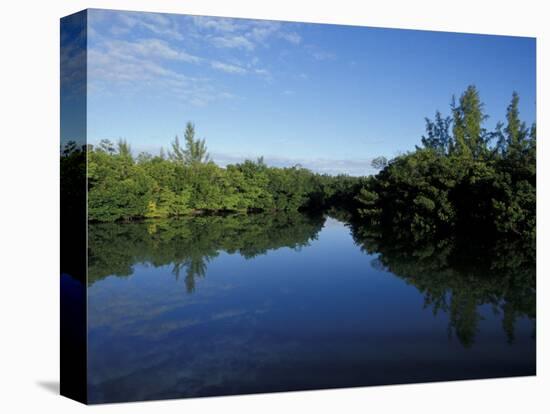 Tidal Lagoons Fringed with Mangroves, Lovers Key SRA, Ft. Meyer's Beach, Florida-Maresa Pryor-Premier Image Canvas