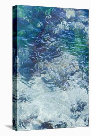 Tide Pool II-Rita Crane-Stretched Canvas