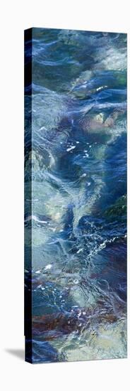 Tide Pool III-Rita Crane-Stretched Canvas