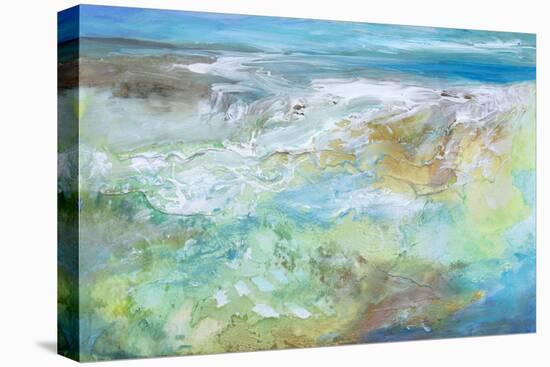 Tide Pool-Sheila Finch-Stretched Canvas