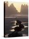 Tidepools and Seastacks, Shi Shi Beach, Olympic National Park, Washington, USA-Adam Jones-Premier Image Canvas