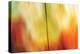 Tie Dye I-Andrew Michaels-Premier Image Canvas