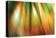 Tie Dye II-Andrew Michaels-Premier Image Canvas