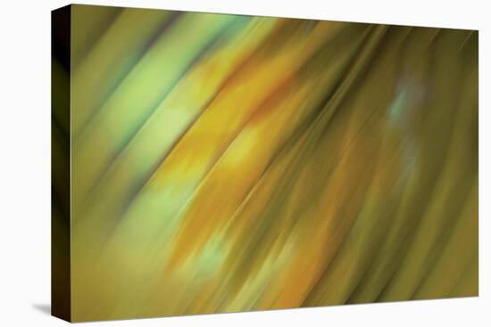 Tie Dye III-Andrew Michaels-Premier Image Canvas