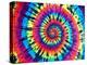 Tie Dye Rainbow-Molly Kearns-Stretched Canvas