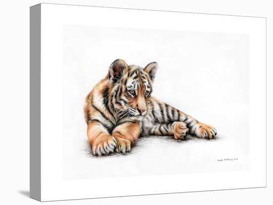 Tiger Cub Colour Pencil Drawing-Sarah Stribbling-Stretched Canvas