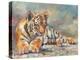 Tiger Cub Lounging-David Stribbling-Stretched Canvas