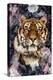 Tiger Deep Floral-Kimberly Allen-Stretched Canvas