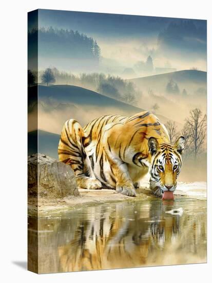 Tiger Drinking Water-Ata Alishahi-Premier Image Canvas
