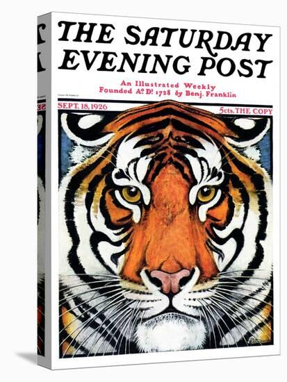 "Tiger Head," Saturday Evening Post Cover, September 18, 1926-Paul Bransom-Premier Image Canvas