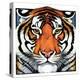 "Tiger Head,"September 18, 1926-Paul Bransom-Premier Image Canvas