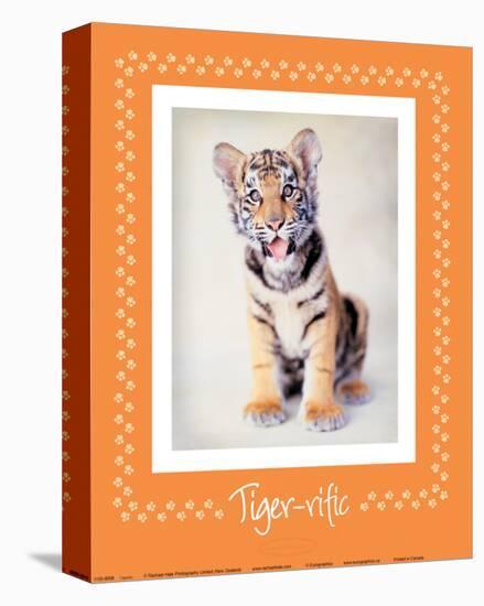 Tiger-Ific-Rachael Hale-Stretched Canvas