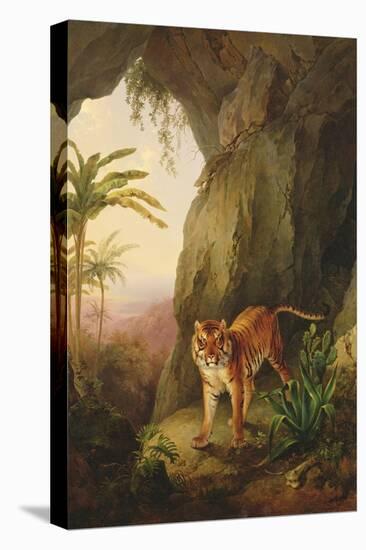Tiger in a Cave, C.1814-Jacques-Laurent Agasse-Premier Image Canvas